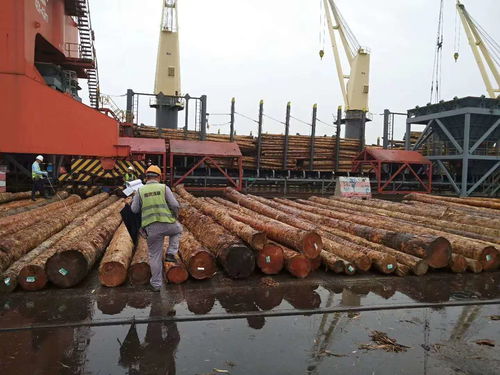 介紹建筑木方褶皺是怎么形成的